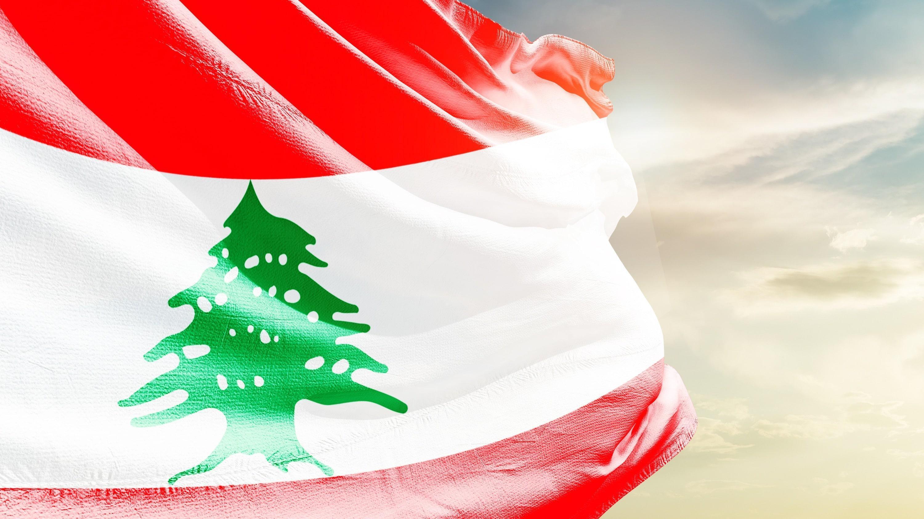 ?  Live: Displaced return to Sidon after Israel-Lebanon ceasefire