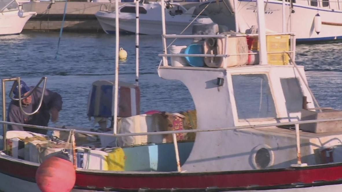 Cyprus: Patriotic Cypriot fishermen are not harmed by the crisis yet