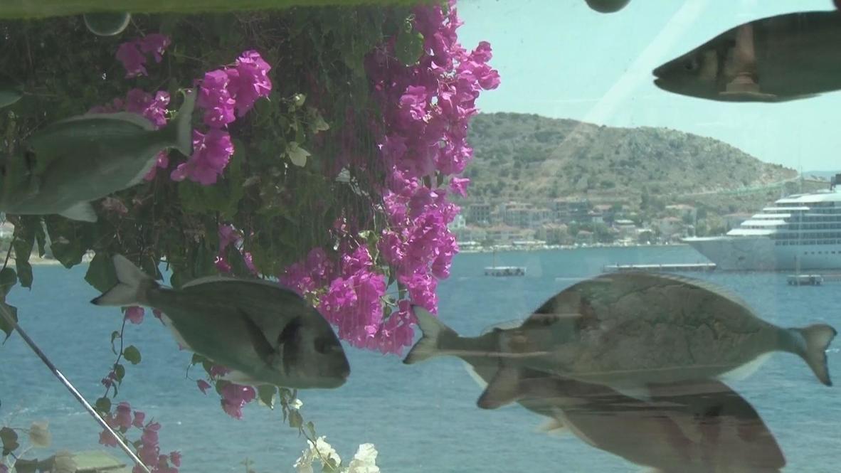 Turkey: Businessman lays out thousands for fish dreams