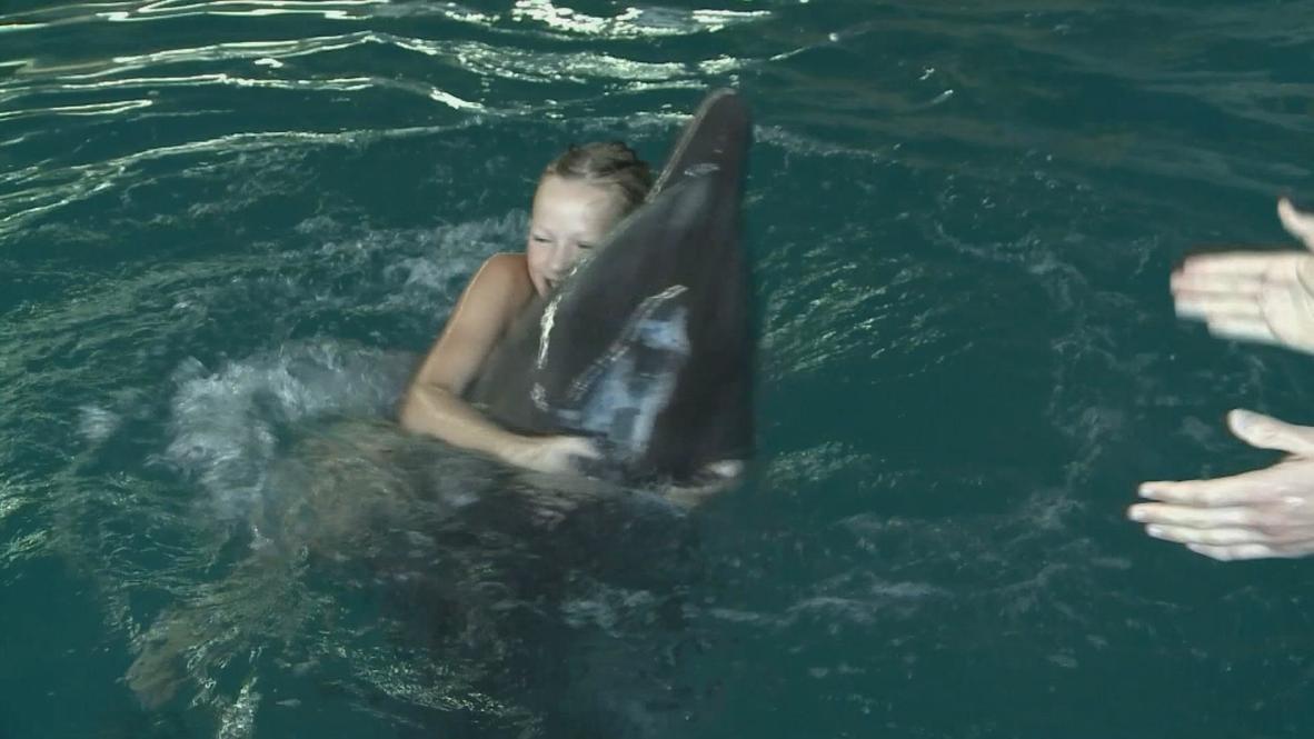 Ukraine: Dolphins open up new horizons for disabled children