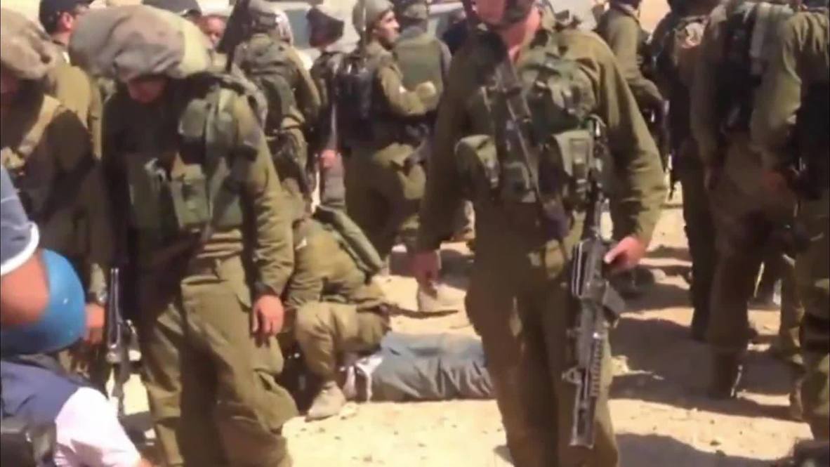 State of Palestine: Israeli soldiers manhandle diplomats delivering aid to Bedouins