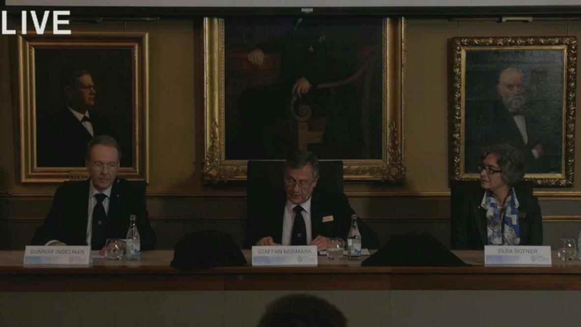 Sweden: Higgs boson scientists win Nobel Prize in physics