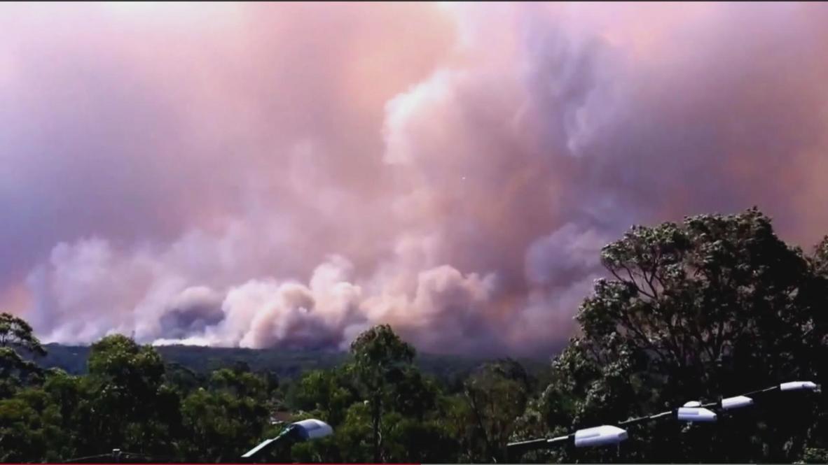 Australia: Bushfire smoke clouds engulf NSW