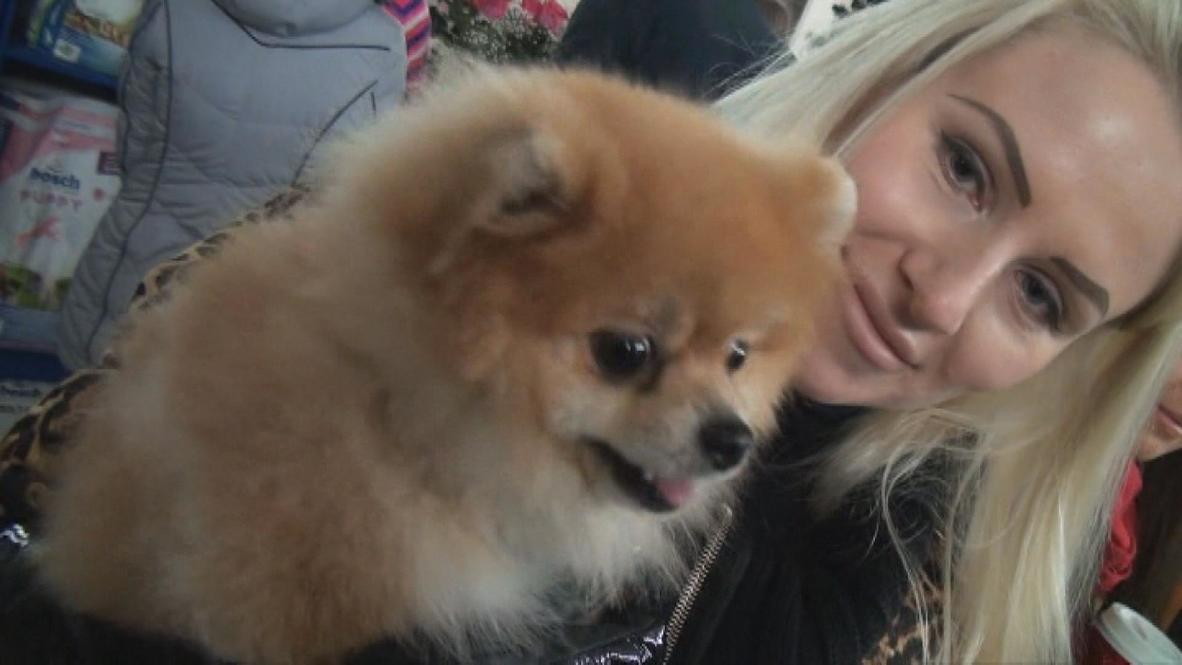 Russia: Adorable dogs and their pretty owners in fancy dress