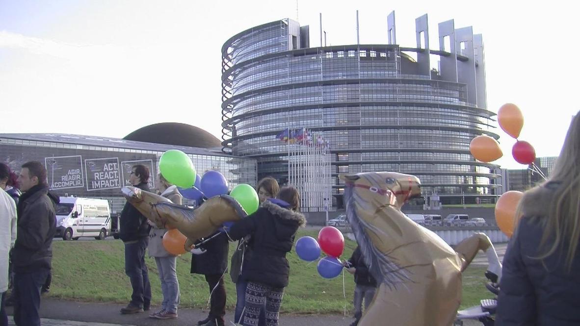 France: Horse tax protesters block traffic outside European Parliament