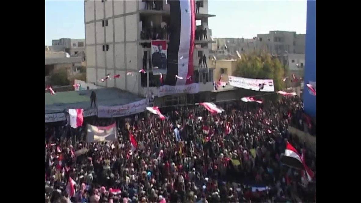 Syria: Thousands attend pro-government rally in Aleppo