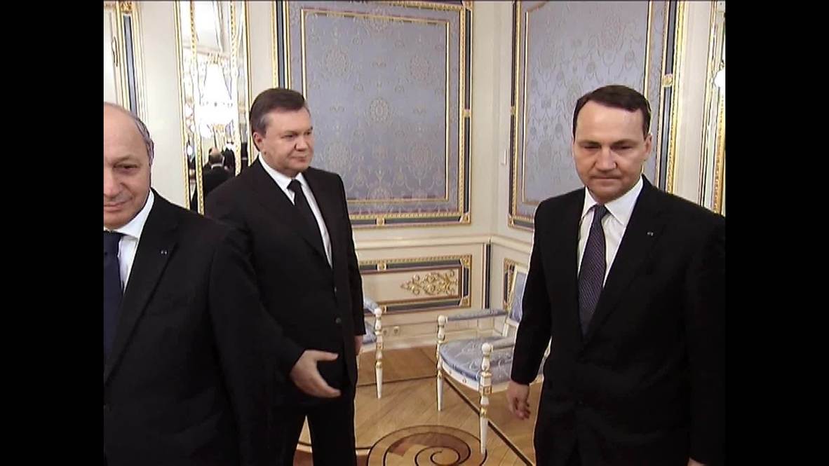 Ukraine: European foreign ministers push Yanukovych to call election early