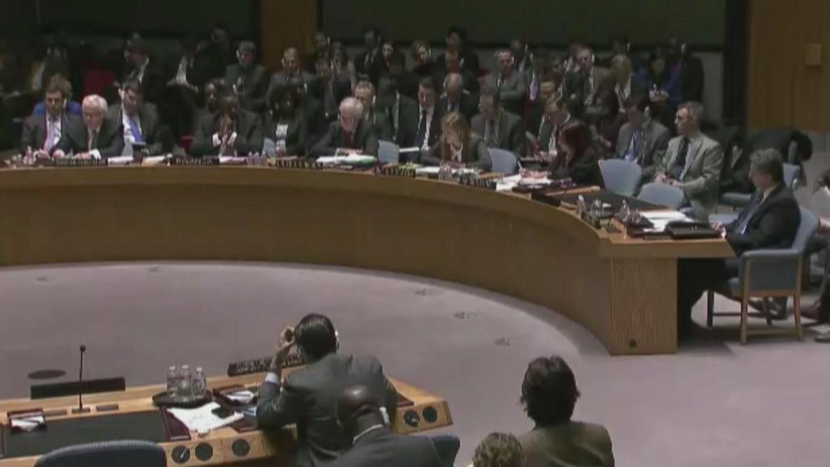 UN: Russia wants a stable, strong Ukraine - Churkin