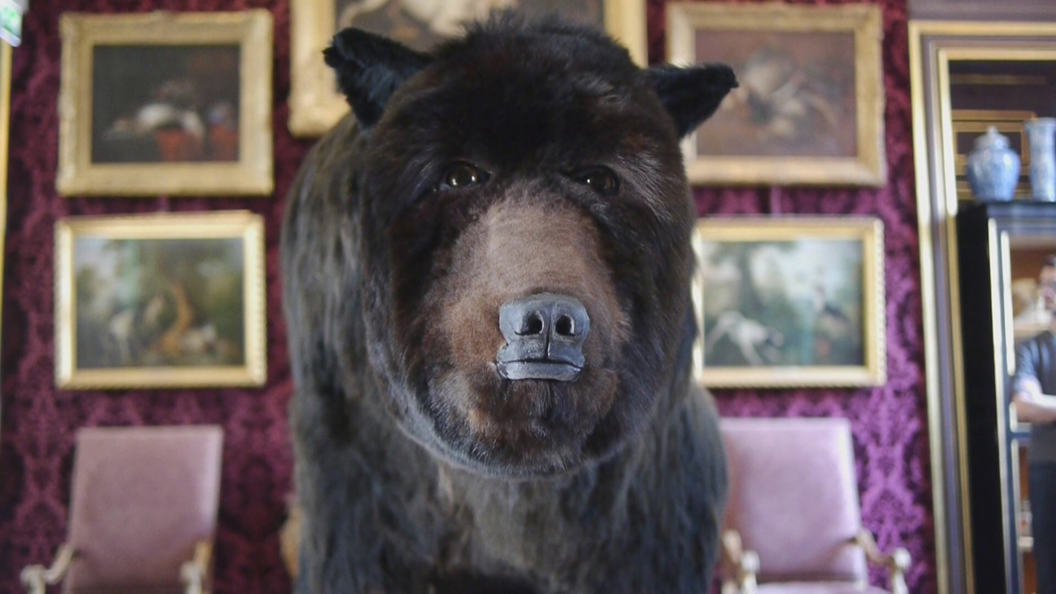 France: Ever wondered how long you can live inside a bear?