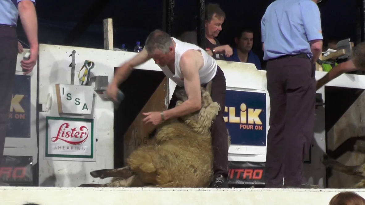 Ireland: Sheep shearing Olympics bring thousands to Wexford