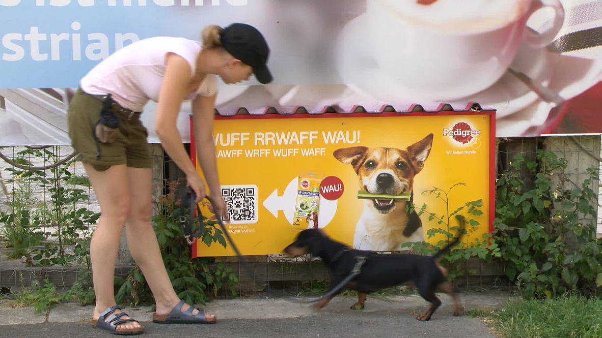 Austria Dogs can't resist pet food smell billboards Video Ruptly