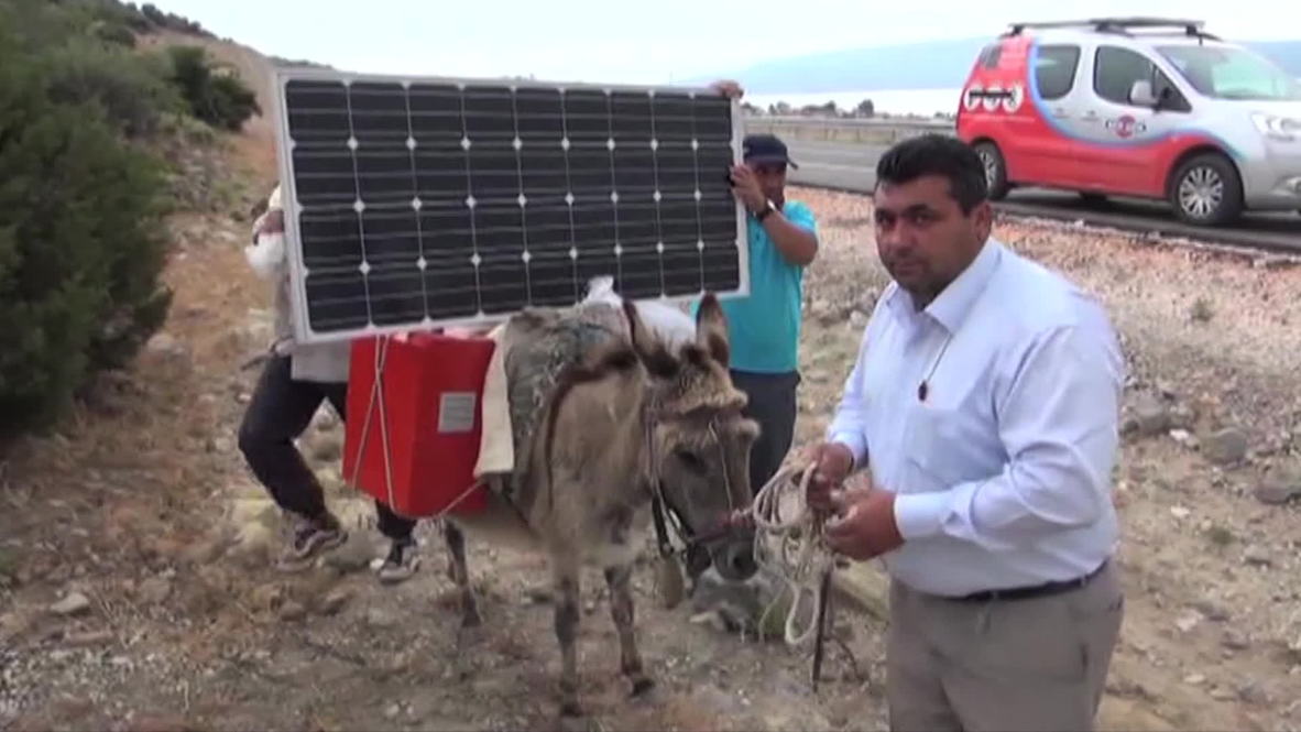 Turkey: Solar powered donkeys get shepherds online