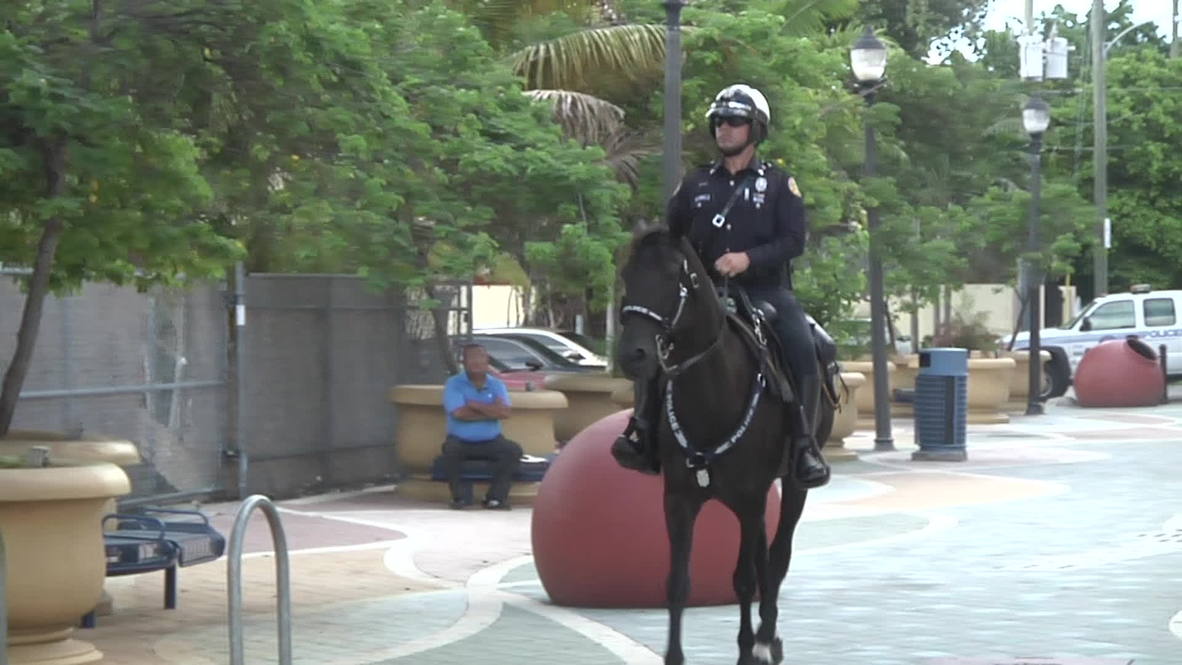 USA: Man and horse join forces, fight crime as "The Superman Team"