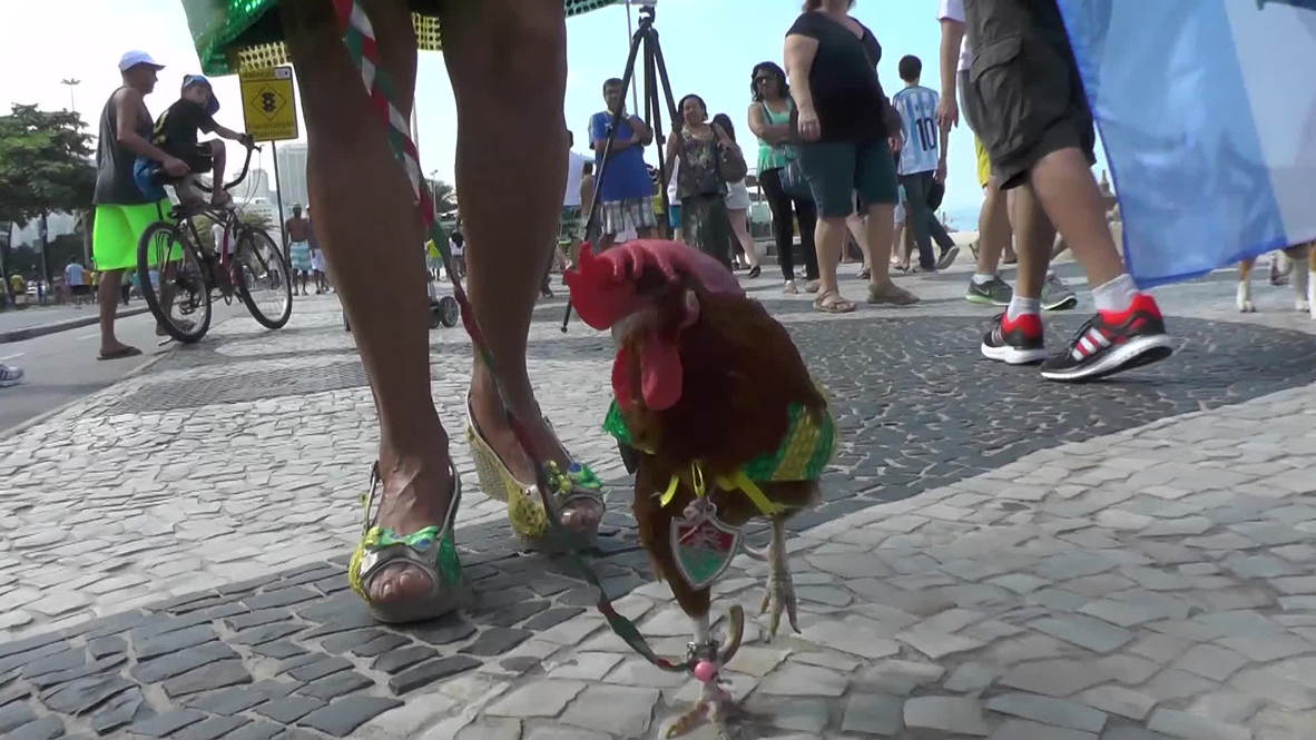 Brazil: Selecao-shirted pets take Brazil by storm