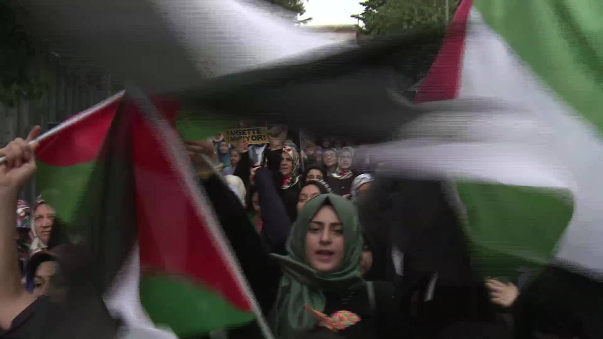 Turkey: Protesters rally against Gaza attacks in Istanbul