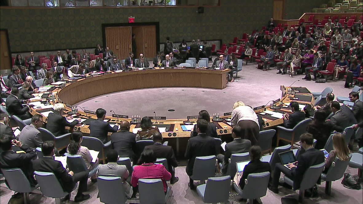 UN: Palestinian UN Observer fights back tears over Gaza