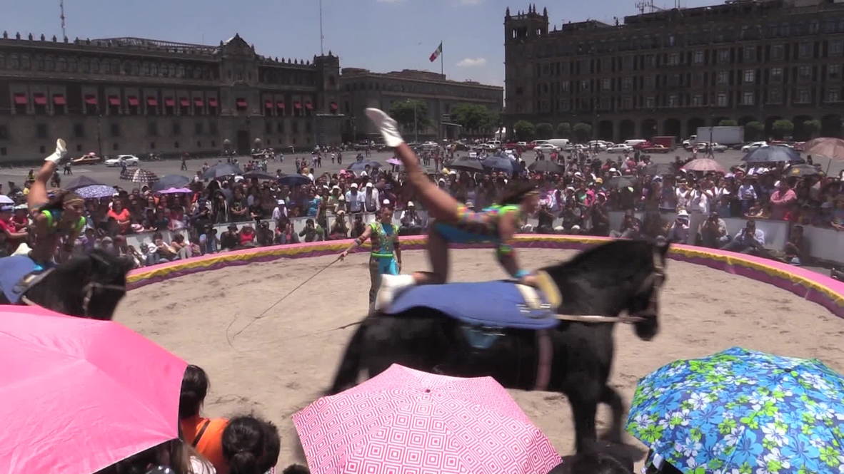 Mexico: Circus acrobatics bend the law in anti-animal ban protest