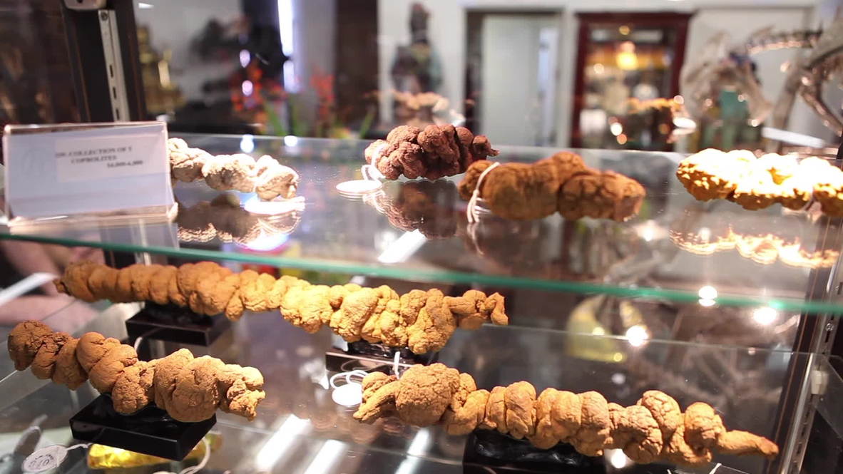 USA: This 30-million-year-old POOP is worth $8,500