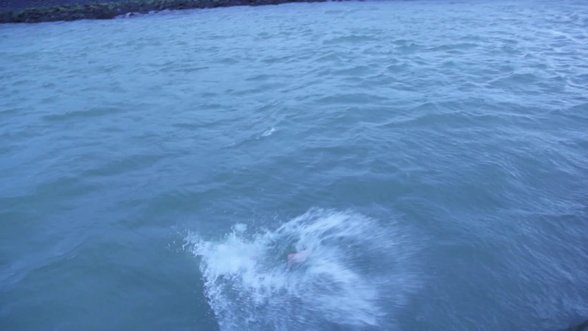 Netherlands: See moment German professor finishes 1,230-km Rhine swim