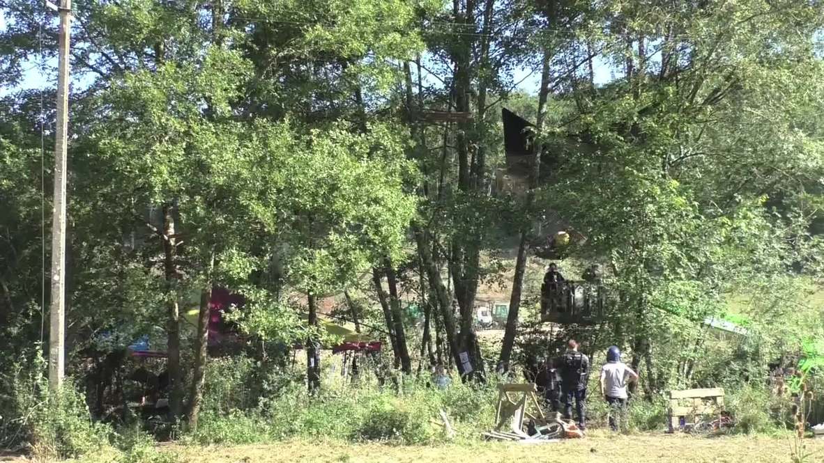France: Environmentalists see their forest come crashing down