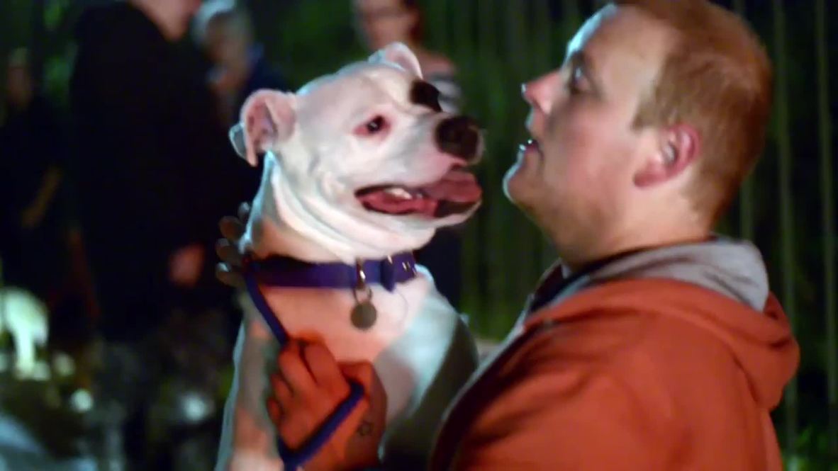United Kingdom: Arson attack on dogs' home kills 43 canines