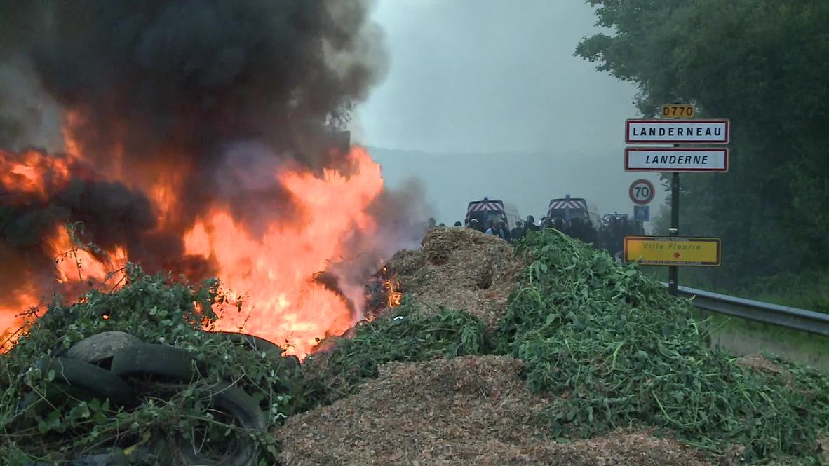 France: Fed-up farmers torch crop over Russia sanctions