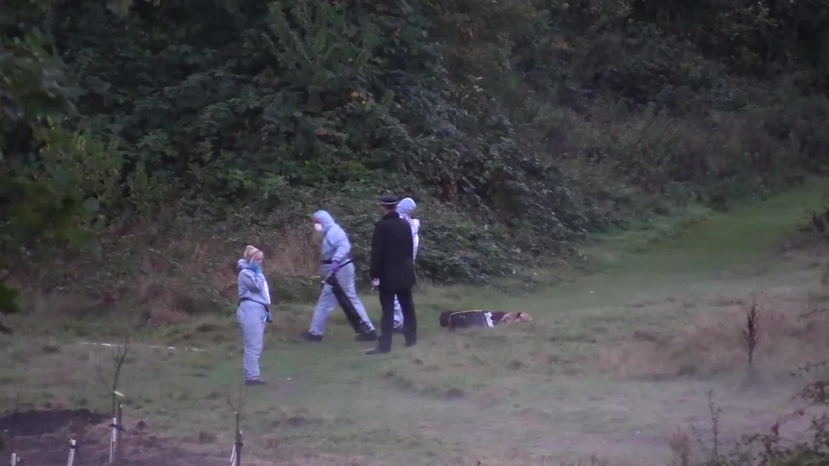 UK: Body of Alice Gross' murder suspect found in woods