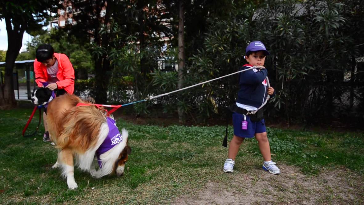 Spain: Watch this marathon where runners race with DOGS at their side