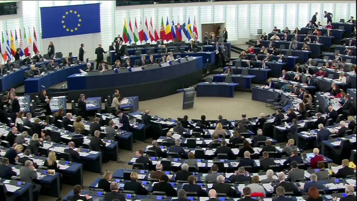 France: "EU commission has no right to vote on Palestine," says Farage