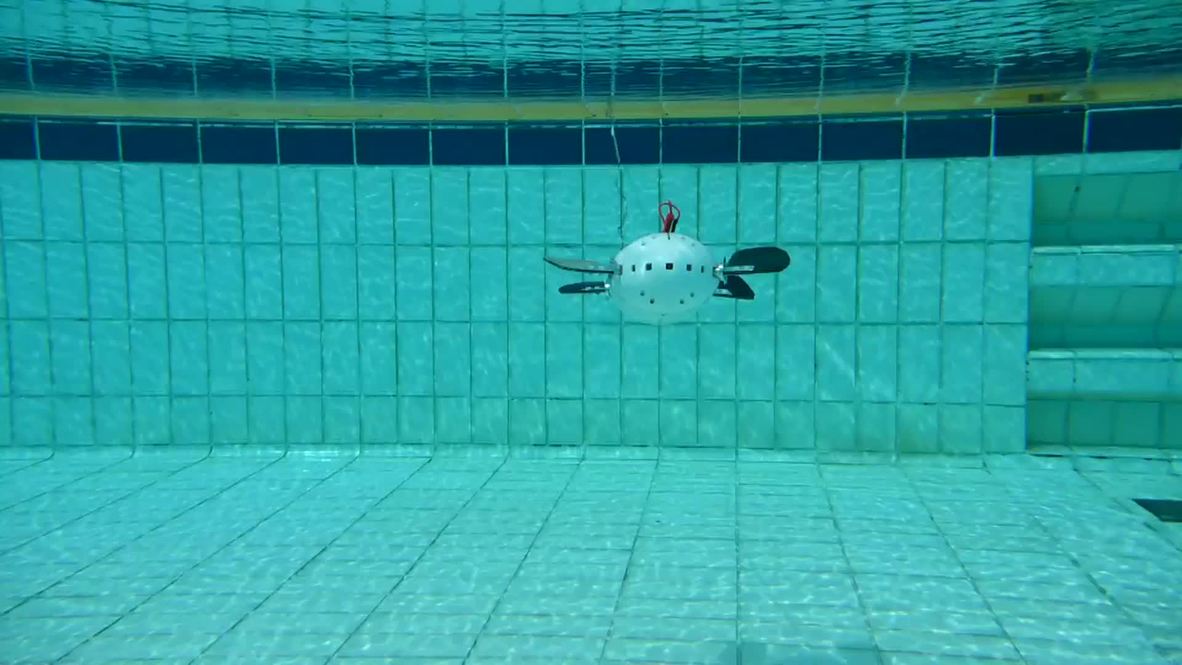 Singapore: Meet the world's first SMART turtle robot