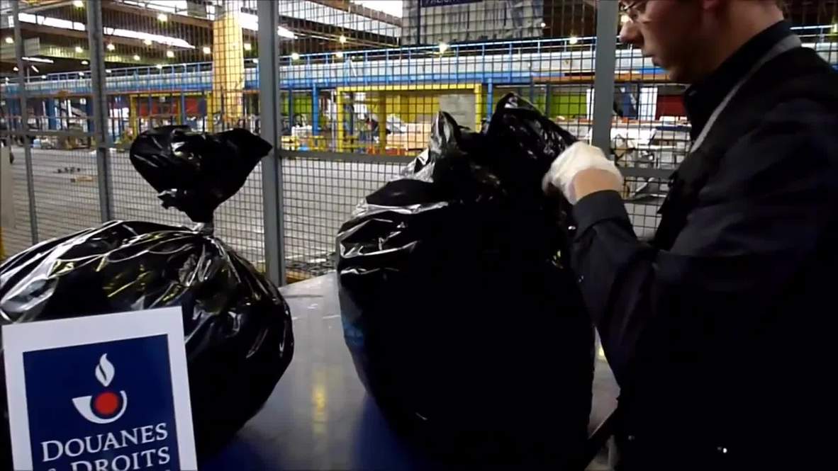 France: €200,000 worth of endangered SEAHORSES seized en route to Asia
