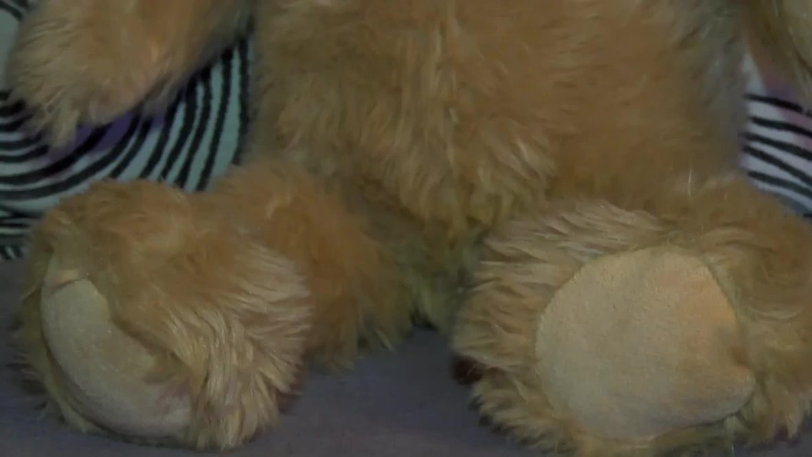 USA: Forget Ted! This bear gives you HEAD!