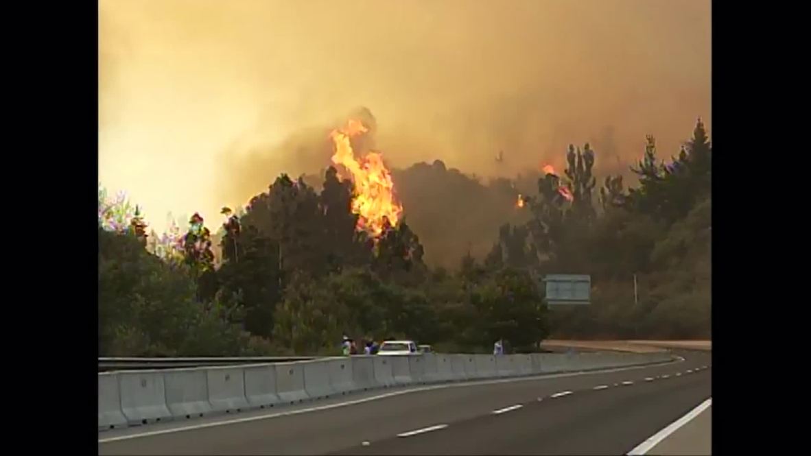 Chile: Giant blaze ENGULFS forest near Valparaiso, thousands evacuated