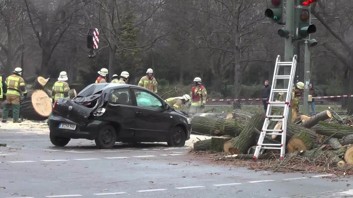 Germany: Hurricane Niklas' strong winds sweep down trees in Berlin