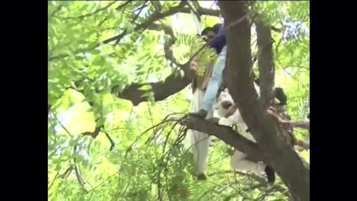 India: Farmer commits suicide at rally to protest land acquisition bill *GRAPHIC*