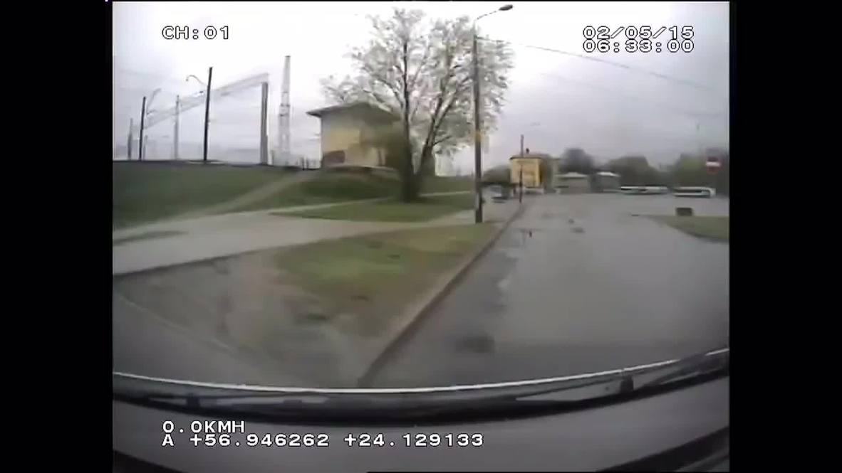 Latvia: Police dashcam captures wild boar chase through streets of Riga