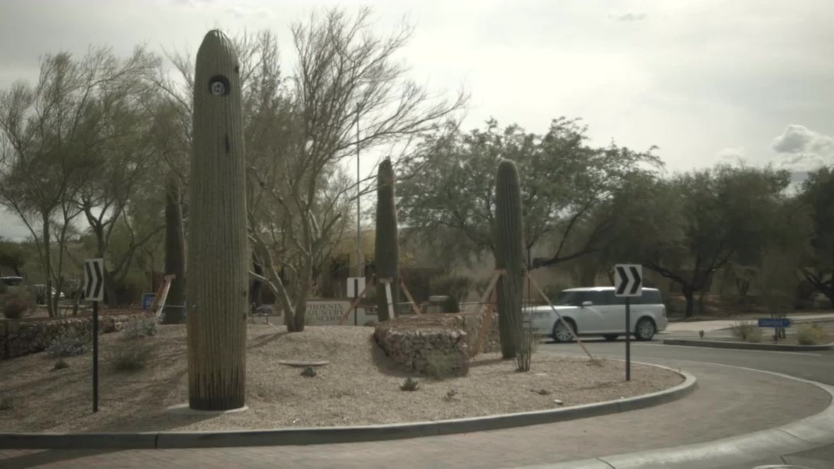 USA: "NSA big time?" Arizona town hides cameras in fake cacti