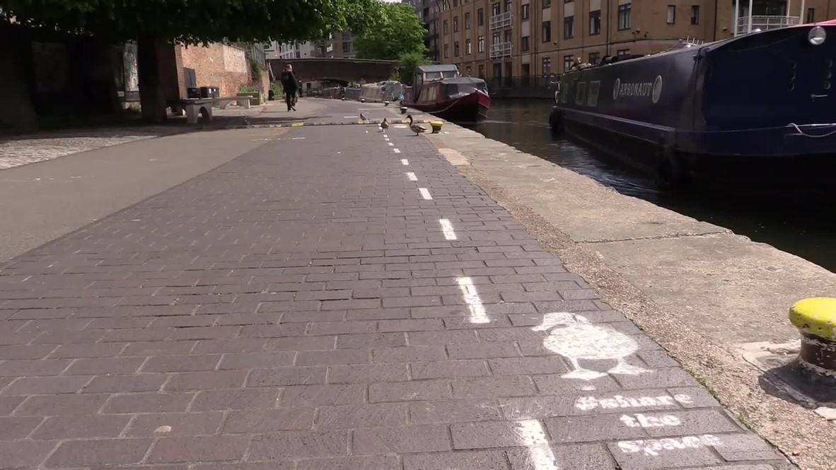 UK: What the duck? Quackers Brits create duck lanes on congested canal paths