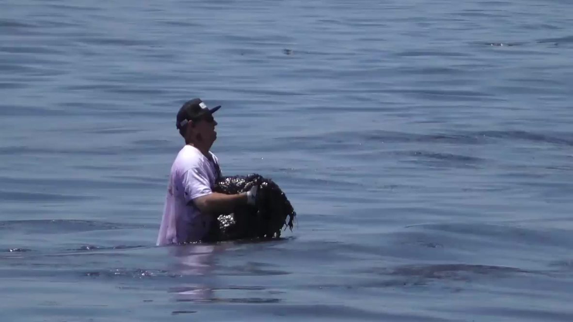 USA: Cleanup crews hit the beach after oil spill blackens 9-mile stretch