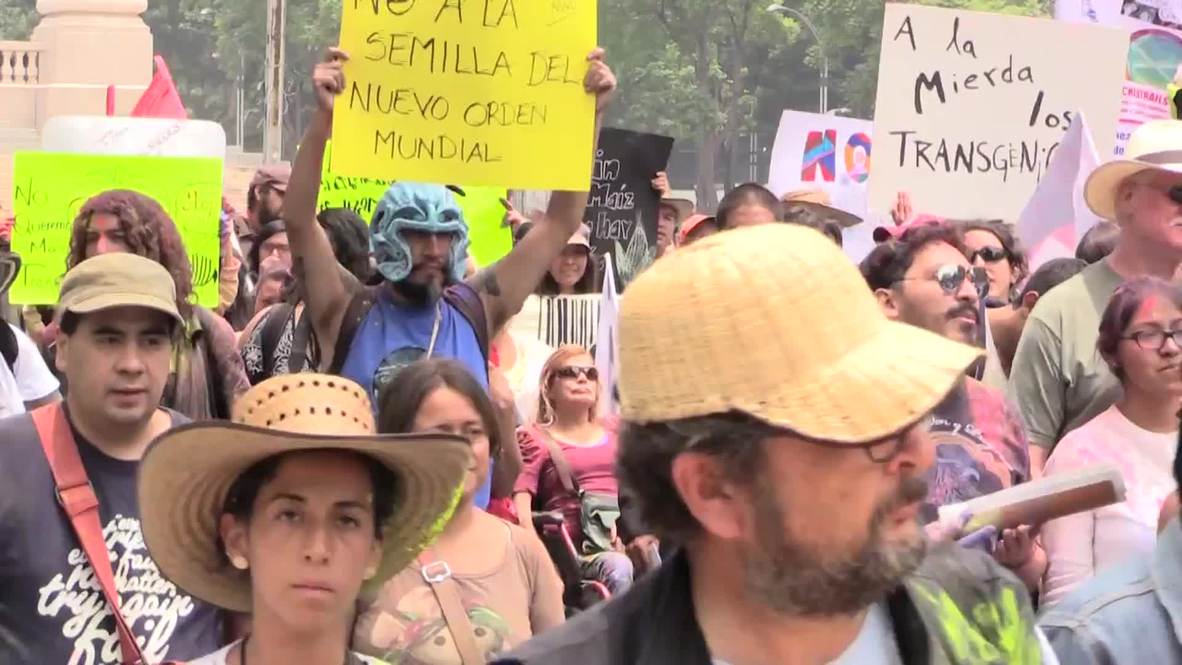 Mexico: Hundreds rile against Monsato at 'Carnival of Corn' in Mexico City