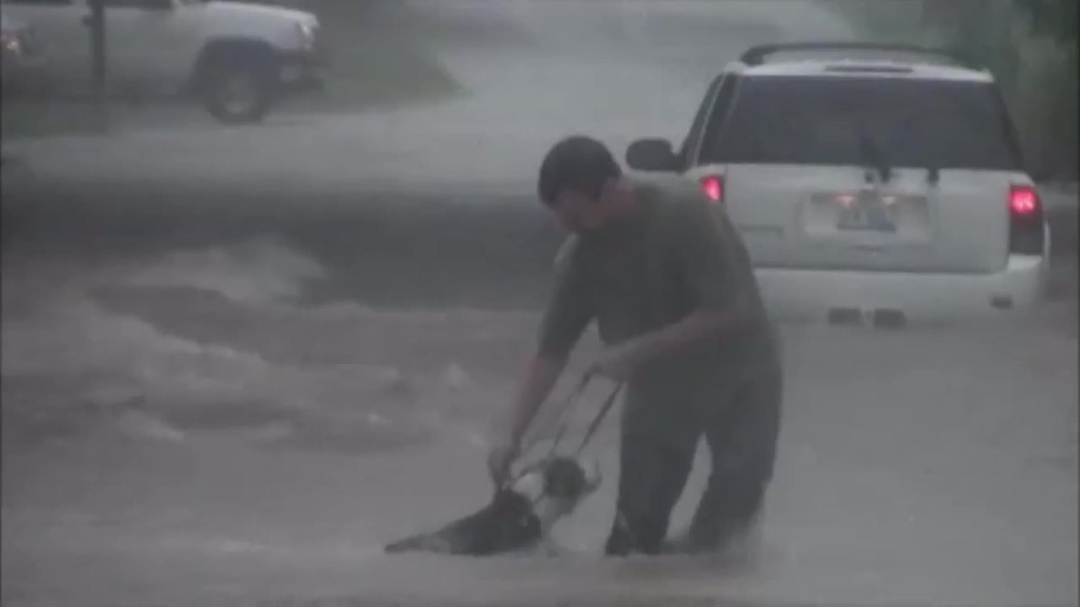USA: See brave dog-owner battle floods in pet rescue