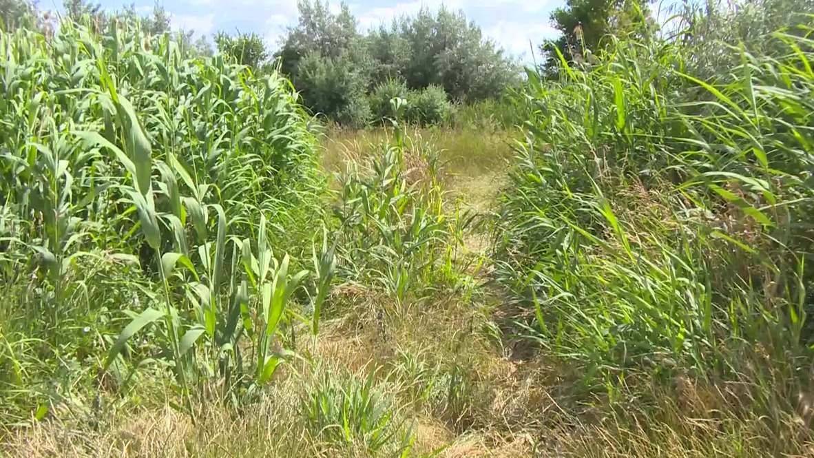 Hungary: This is where Orban's 13-foot anti-migration fence will be built