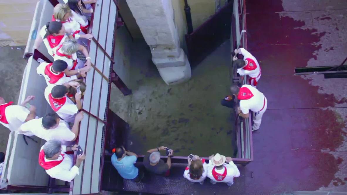 Spain: Bull fatally shot at controversial Sanjuanes de Coria festival