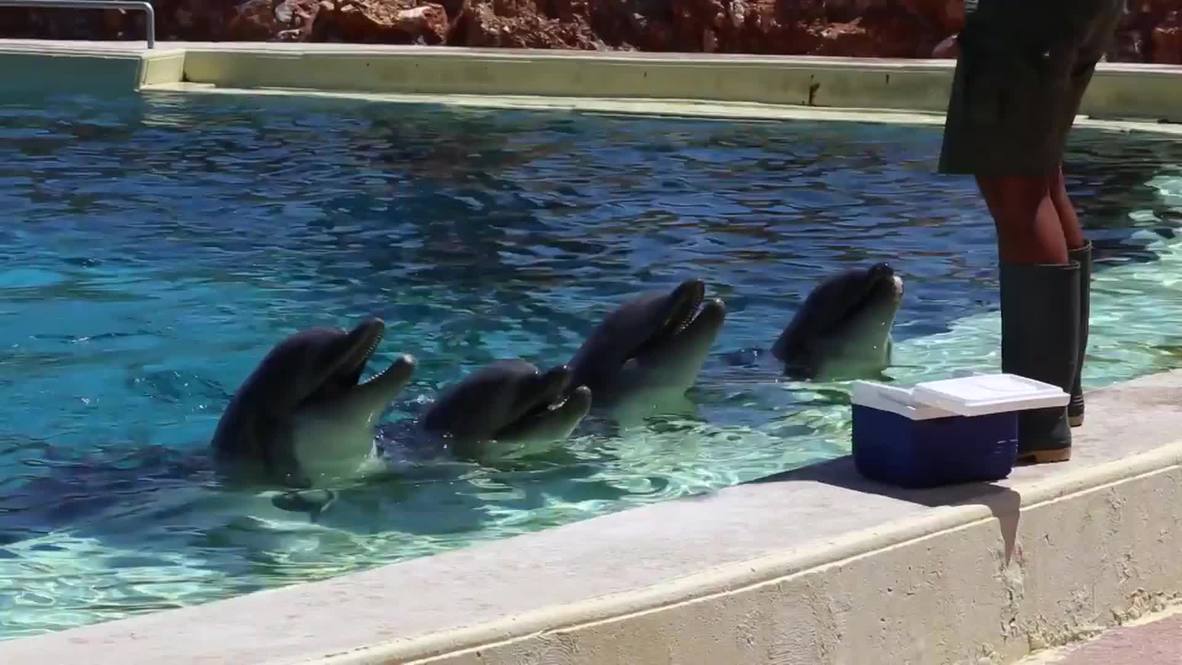Greece: Capital controls threatening the lives of animals at this Athens zoo