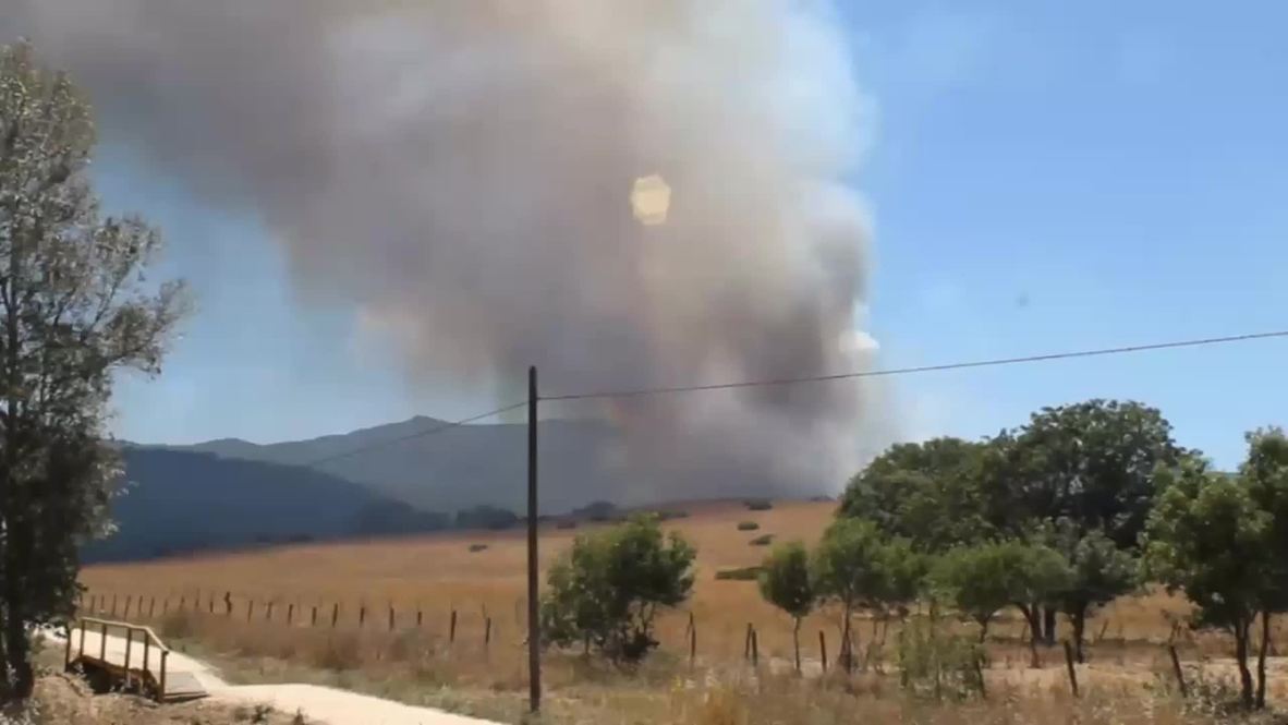 Spain: Firefighters battle huge forest fire near Cadiz