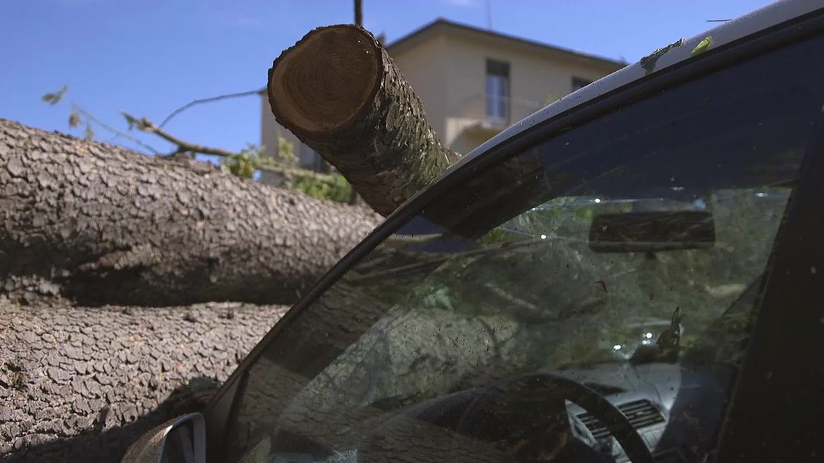 Italy: Toppled trees crush cars in fierce Florence storm