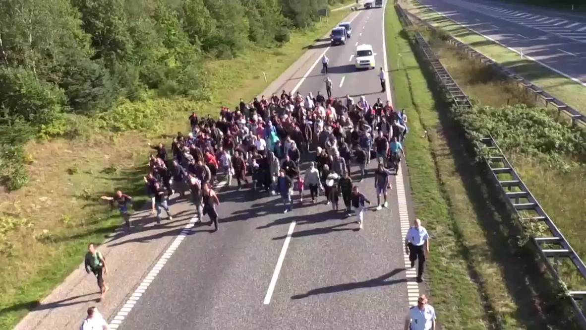 Denmark: Refugees walk along highway after transport links closed with Germany