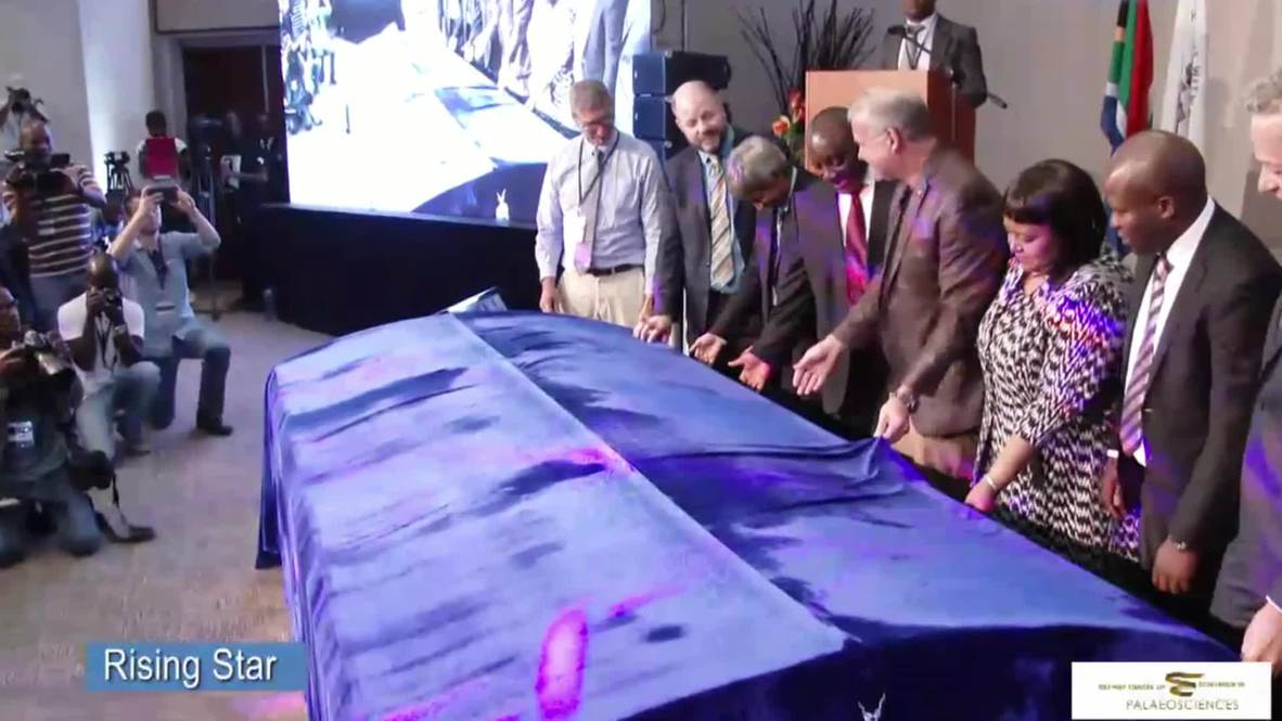 South Africa: Meet Homo naledi, the newly discovered species of human relative