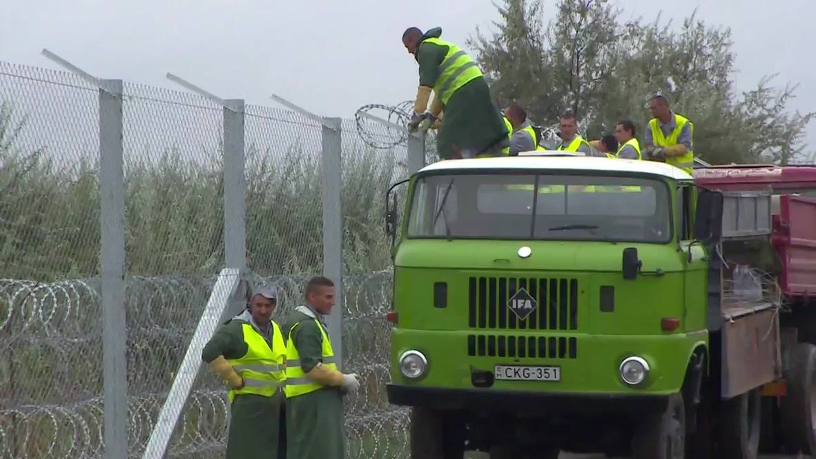 Hungary: Prisoners in Roszke work to complete Hungarian border fence