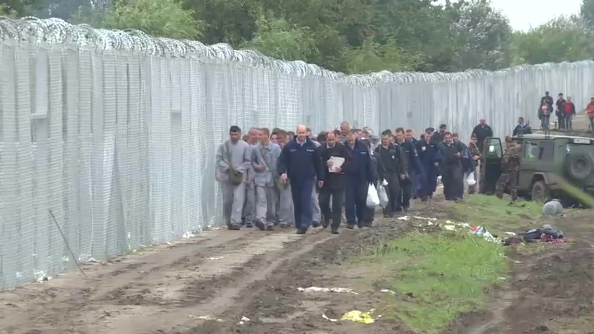 Hungary: Prisoners from Roszke complete Hungarian border fence